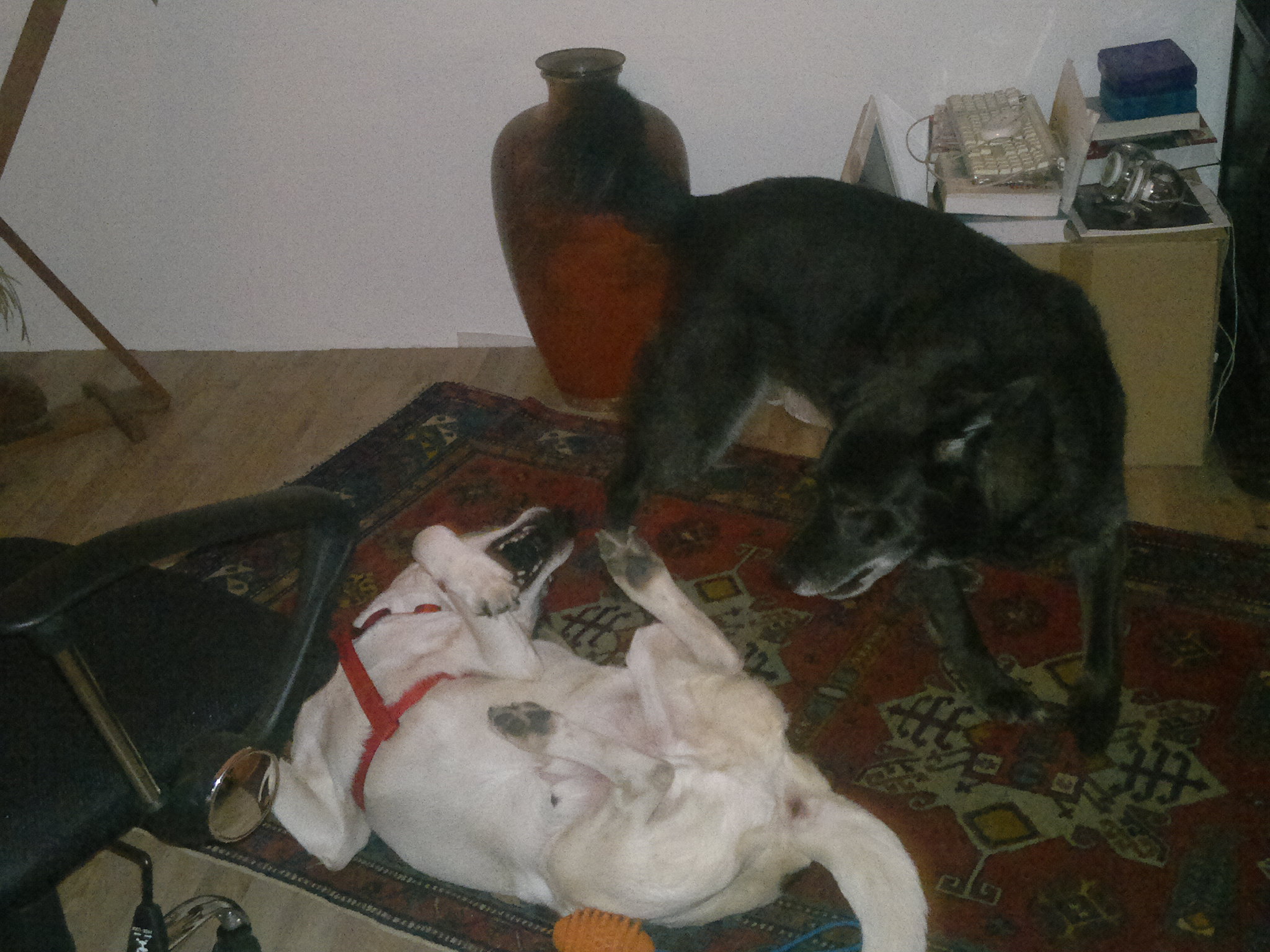 Auf gehts.jpg (2048 x 1536)